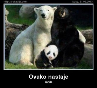 ovako-nastaje.jpg ovako-nastaje.jpg
