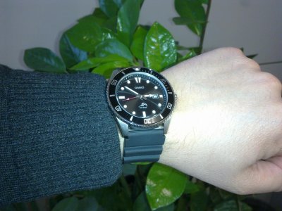 03042013491.jpg 03042013491.jpg