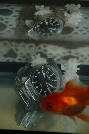 DSC_1380.jpg DSC_1380.jpg