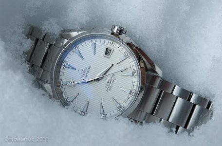 Omega Aqua Terra 1.jpg