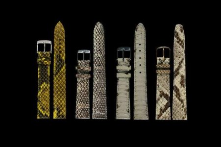 Python, Anaconda Snake Hides 1A.jpg