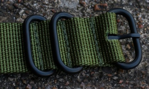 Alkice (prstenovi).jpg