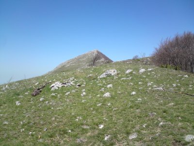 DSC01796.jpg DSC01796.jpg