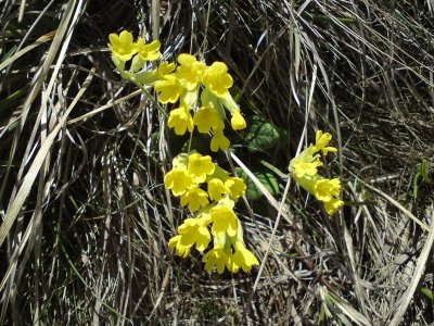 DSC01799.jpg DSC01799.jpg