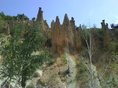 DSC00041.JPG DSC00041.JPG