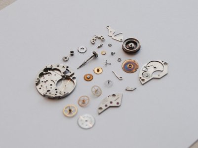 CSC_0598.jpg CSC_0598.jpg