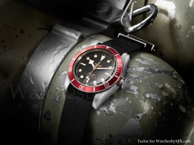 Tudor+Heritage+Black+Bay+snowflake+diver.jpg