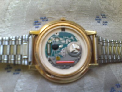 100513-1455.jpg 100513-1455.jpg