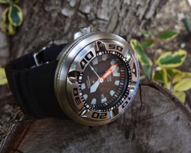 Citizen Eco-zilla log 2011 3.jpg