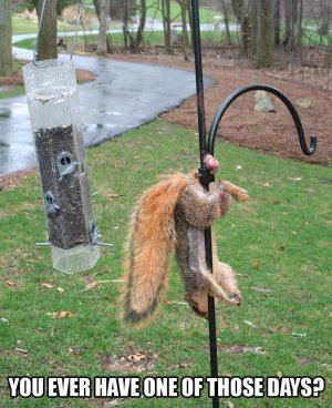 946626_561611583877522_110966827_n (1).jpg