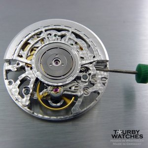 Tourby 2892 skeleton.jpg