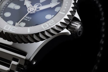 H2O Orca DRESS High POLISH 04.jpg