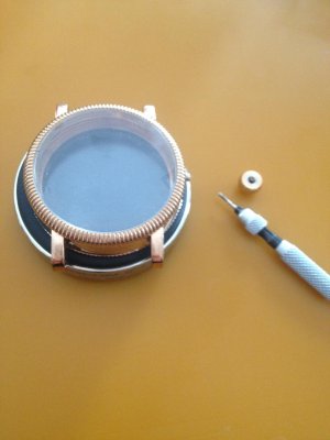 IMG_1356.jpg IMG_1356.jpg