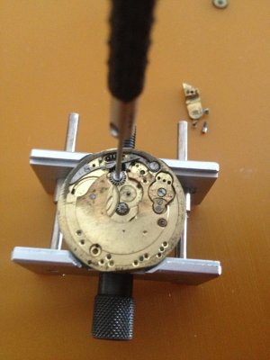 IMG_1396.jpg IMG_1396.jpg