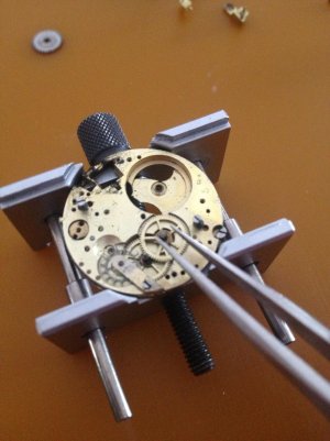 IMG_1427.jpg IMG_1427.jpg