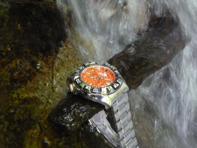 P1090007.jpg P1090007.jpg