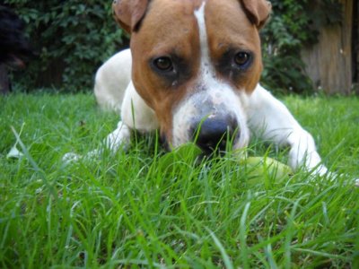 moskri-foto_17373018_17388530_18088969.jpg moskri-foto_17373018_17388530_18088969.jpg