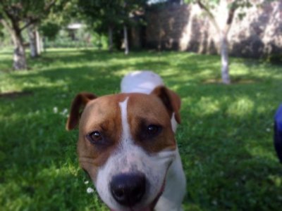 moskri-foto_17373018_17388530_17908300.jpg moskri-foto_17373018_17388530_17908300.jpg