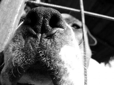 DSCF9879.jpg DSCF9879.jpg