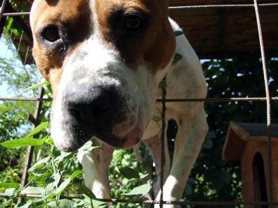 DSCF9882.jpg DSCF9882.jpg