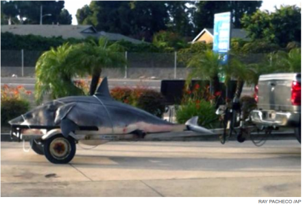 Screen Shot 2013-06-06 at 1.44.47 PM.png Screen Shot 2013-06-06 at 1.44.47 PM.png