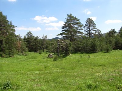 IMG_4230.jpg IMG_4230.jpg