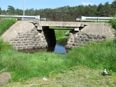 IMG_4233.jpg IMG_4233.jpg