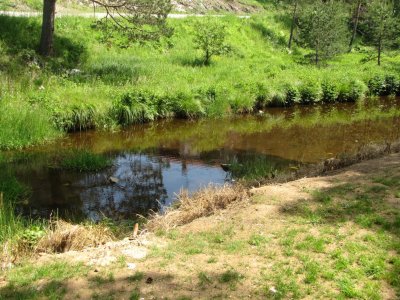 IMG_4234.jpg IMG_4234.jpg