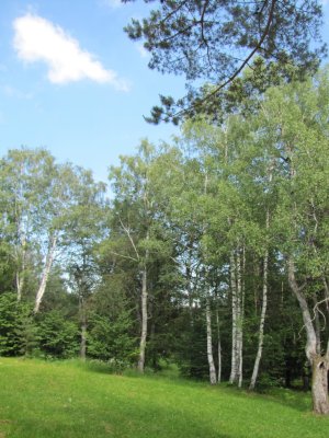 IMG_4247.jpg IMG_4247.jpg