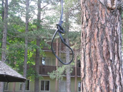 IMG_4245.jpg IMG_4245.jpg