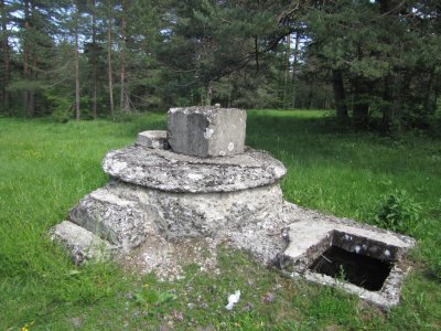 IMG_4246.jpg IMG_4246.jpg