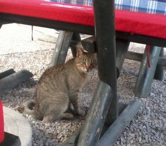 2013-06-16 15.57.04-a.jpg