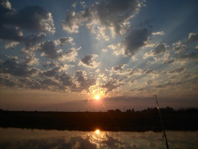 Pecanje Jul 4.2010 033.jpg