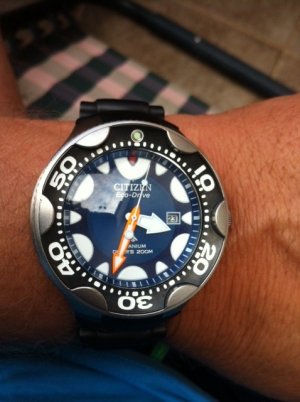 fotografija (37).JPG