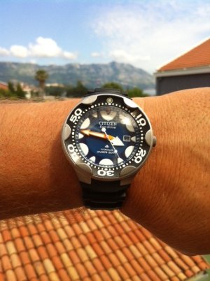 fotografija (38).JPG