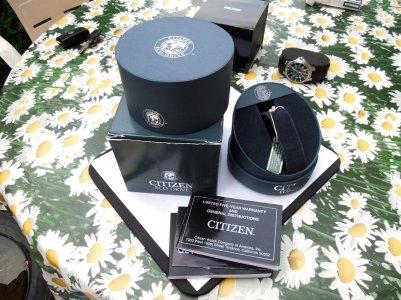 Citizen CA0290-51E 18.JPG