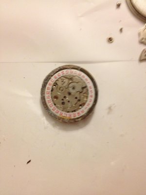 IMG_1563.jpg IMG_1563.jpg