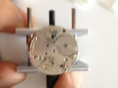 IMG_1568.jpg IMG_1568.jpg