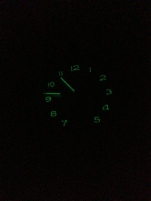 ImageUploadedByTapatalk 21378068631.957056.jpg