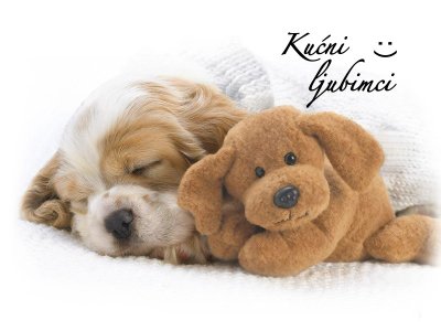 Kucni-ljubimci.jpg