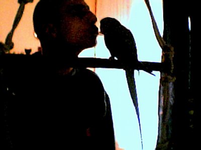 LJULJASKA NOV 04010.jpg