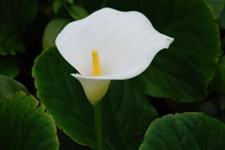 DSC_2404 (Small).JPG