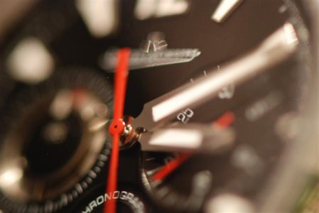 DSC_8459 (Small).JPG