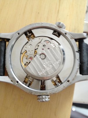 IMG_1595.jpg IMG_1595.jpg