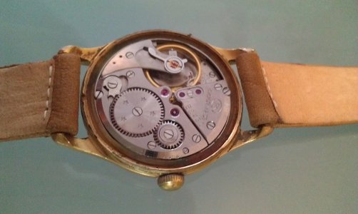 IMAG0400.jpg IMAG0400.jpg