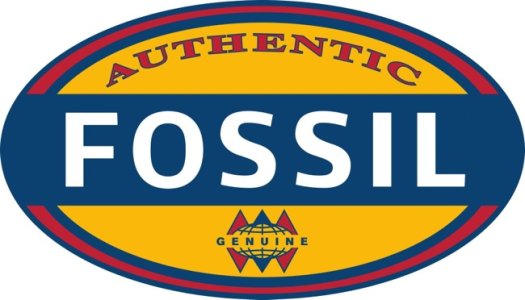 Fossil-satovi-watches-logo.jpg