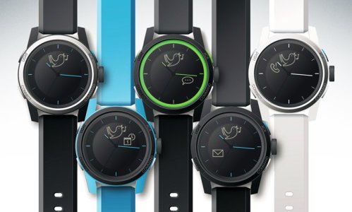 cookoo01.jpg cookoo01.jpg