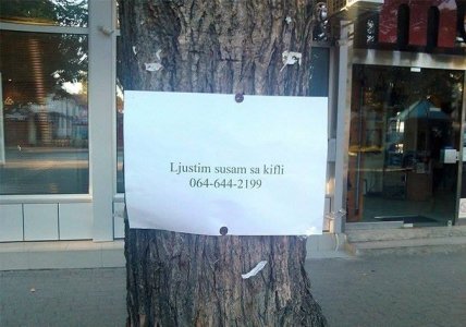 Zadnje vreme doslo.jpg