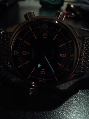 DSC_0737.jpg DSC_0737.jpg