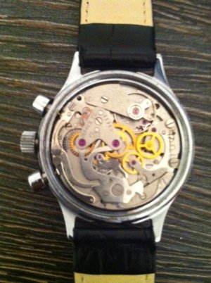 fotografija 1 (6).JPG